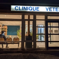 clinique veteniraire annecy sevrier